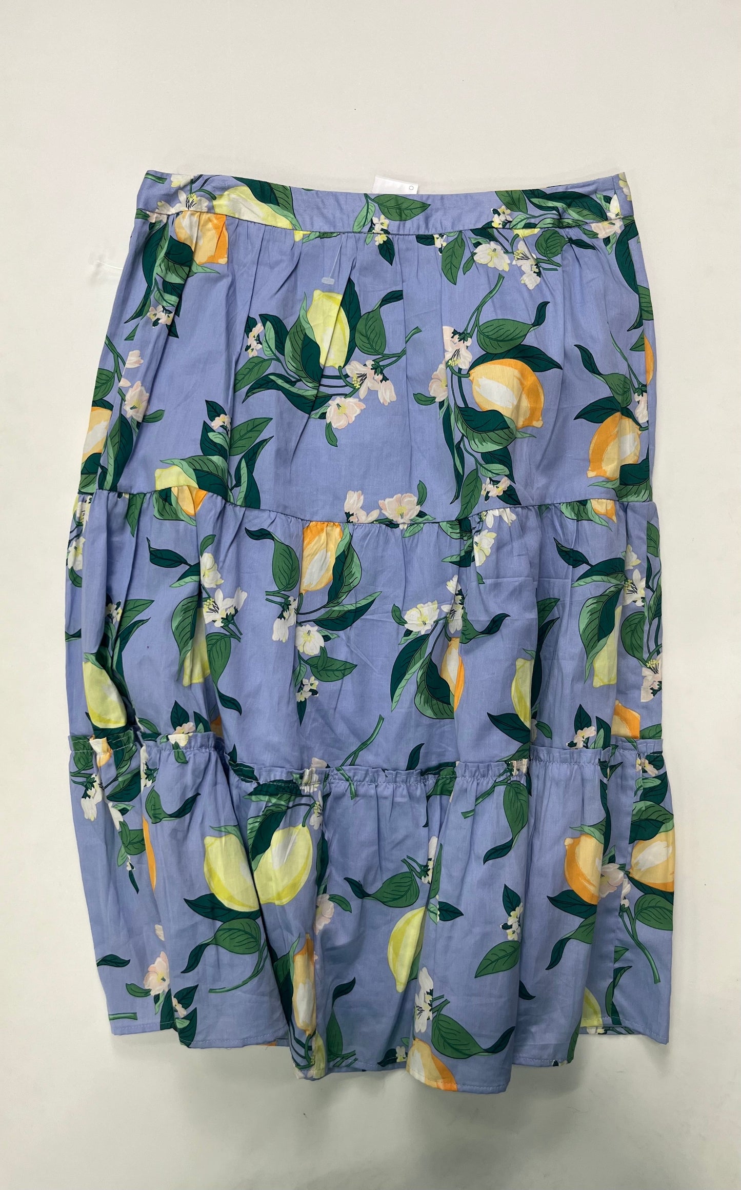 Skirt Midi By Ann Taylor Size: S