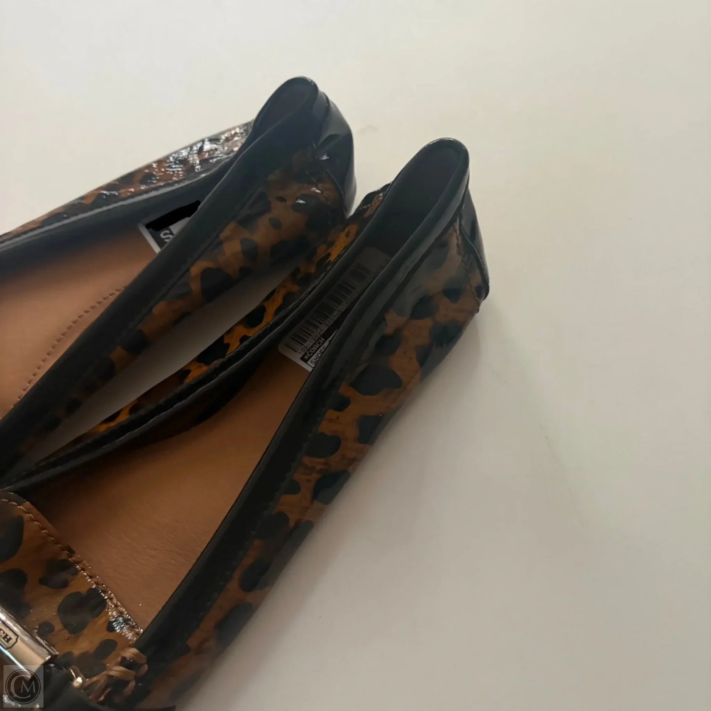 Shoes Designer By Coach In Animal Print, Size: 9.5