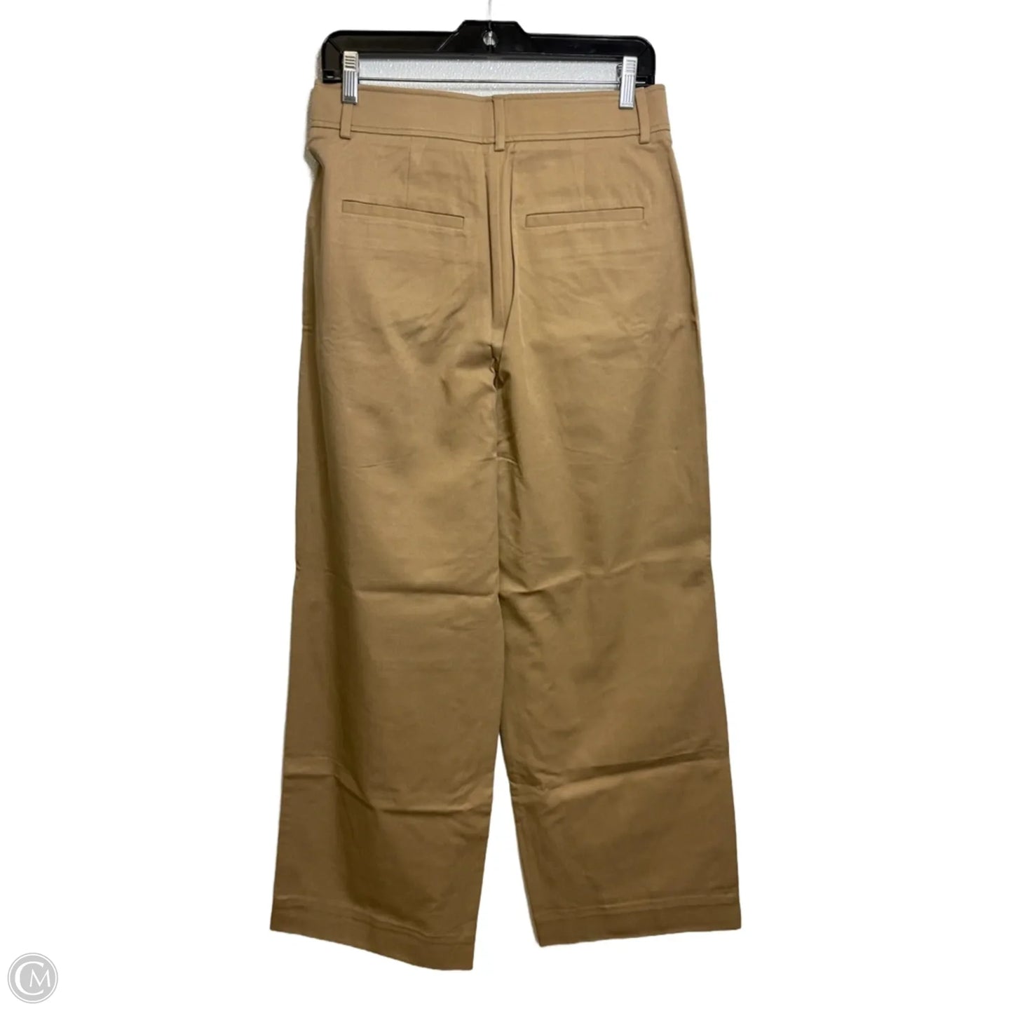 Pants Chinos & Khakis By Everlane In Tan, Size: 6