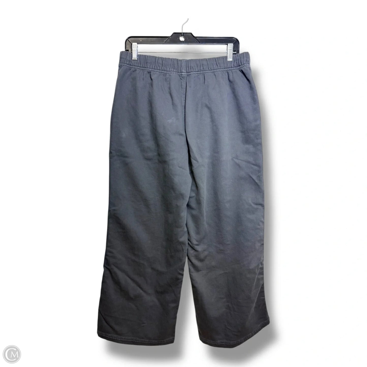 Pants Other By Aerie In Grey, Size: L