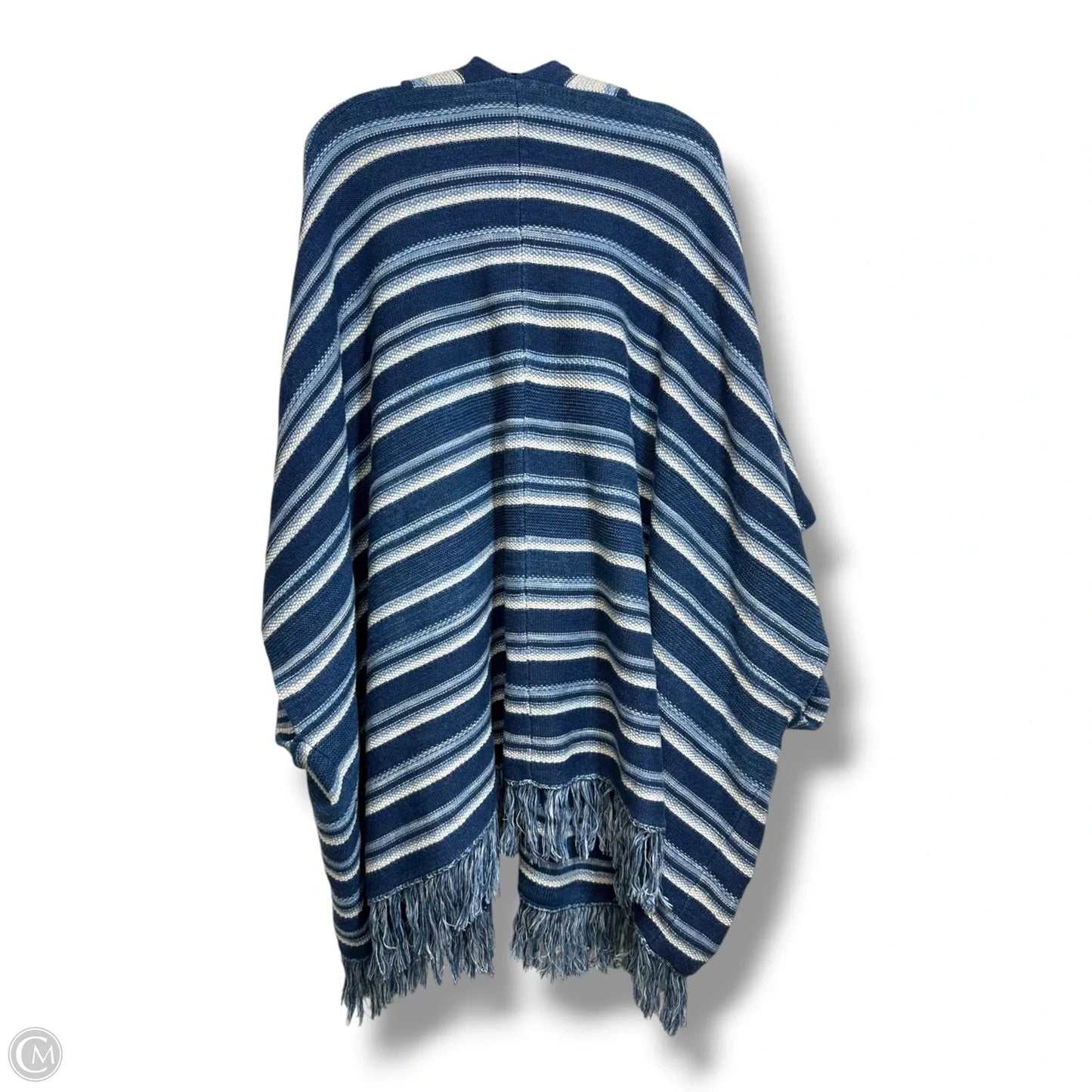 Sweater By Ralph Lauren In Blue, Size: OS