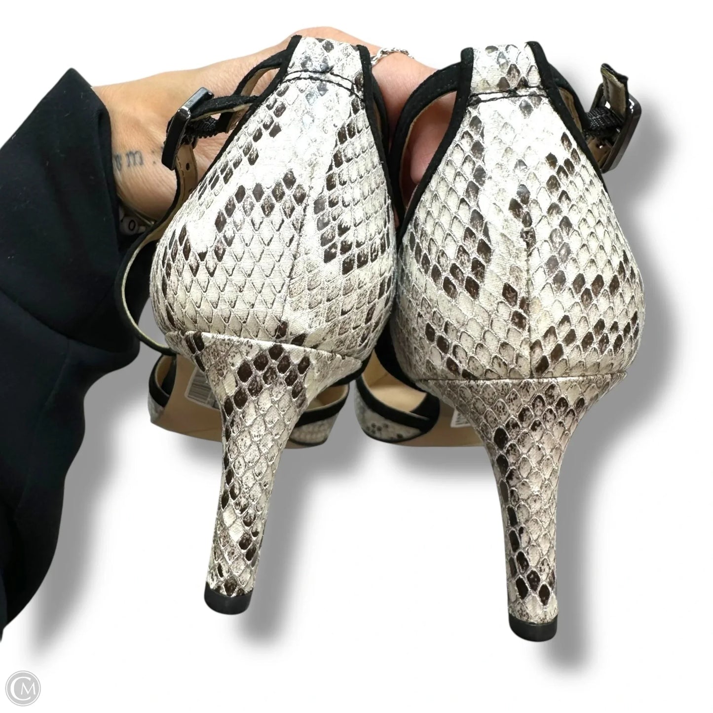 Shoes Heels Kitten By Franco Sarto In Black & Cream, Size: 7.5