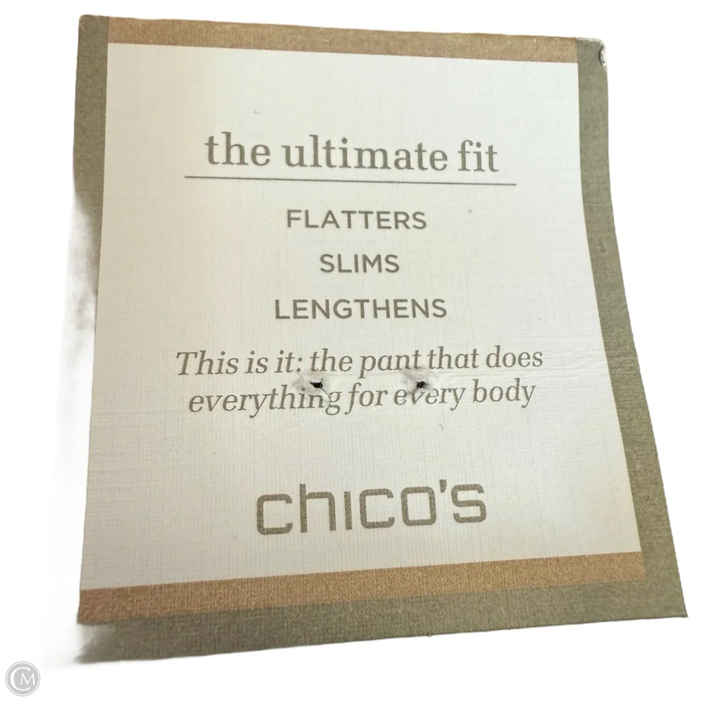 Shorts By Chicos In Black, Size: S