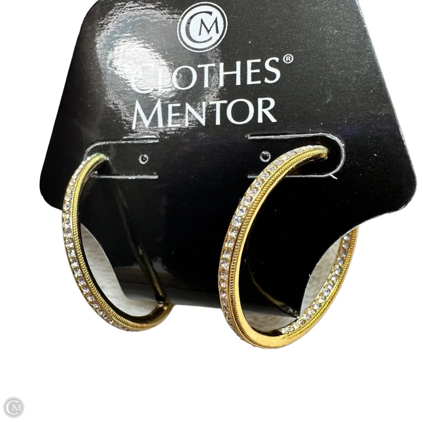 Earrings Hoop By Clothes Mentor