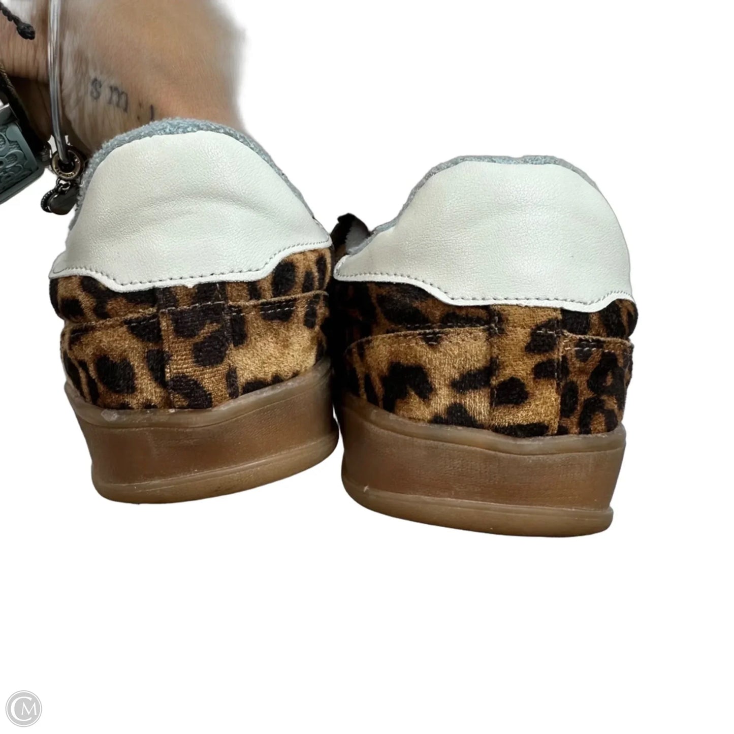 Shoes Sneakers By Madden Girl In Animal Print, Size: 9.5