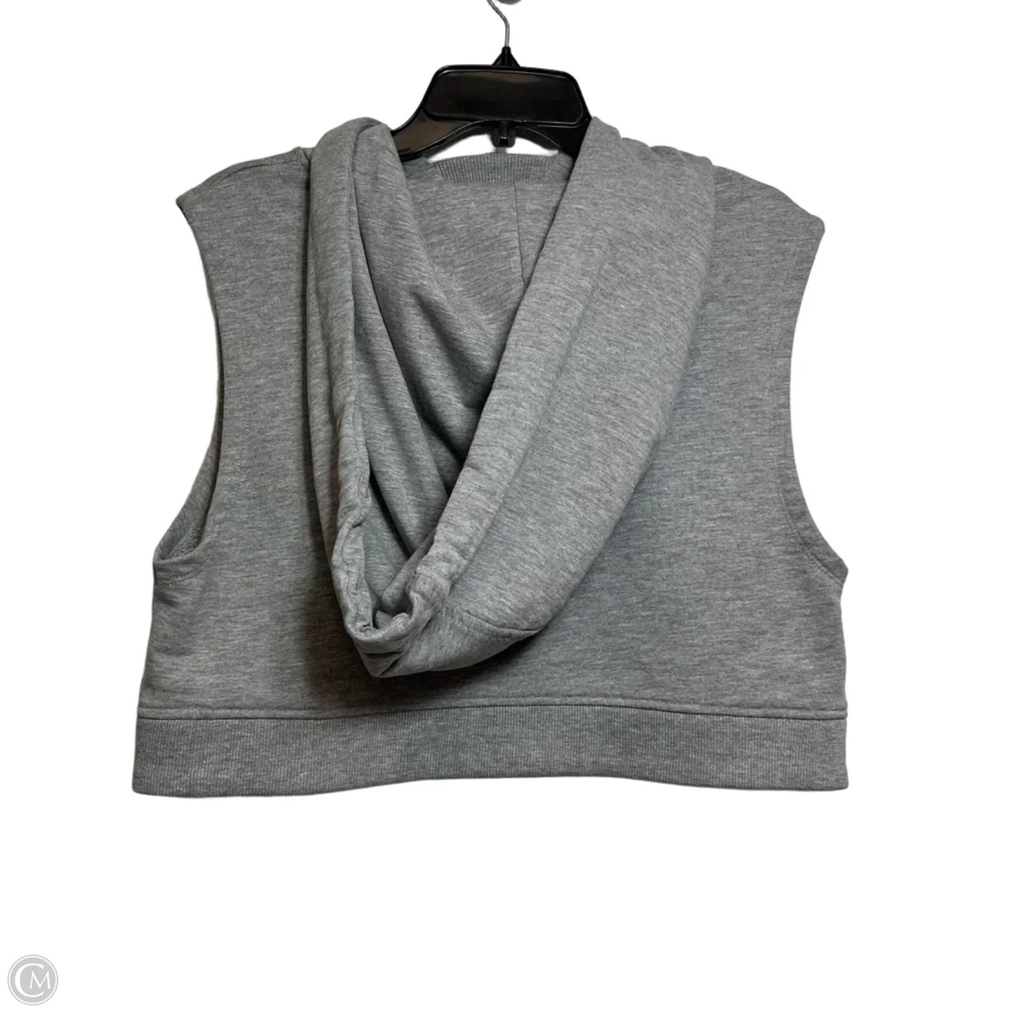 Sweatshirt Hoodie By Ivy Park In Grey, Size: S