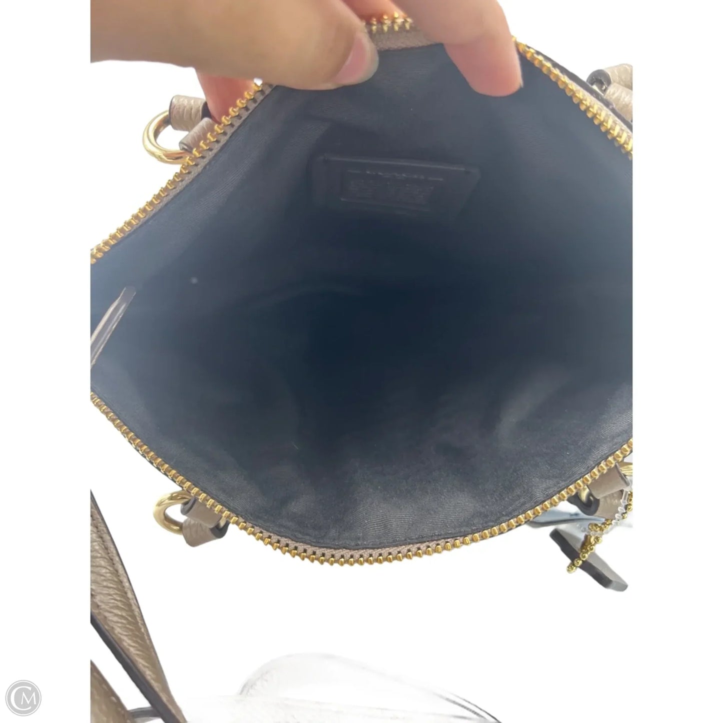 Handbag Designer By Coach