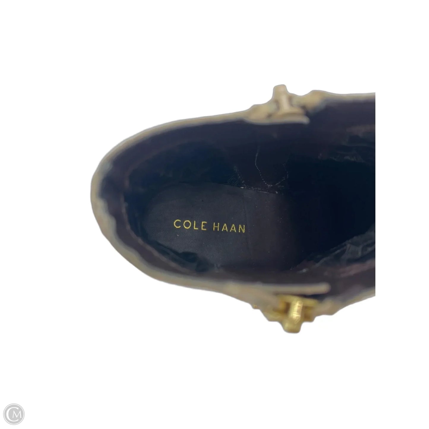 Boots Designer By Cole-Haan In Snakeskin Print, Size: 5.5