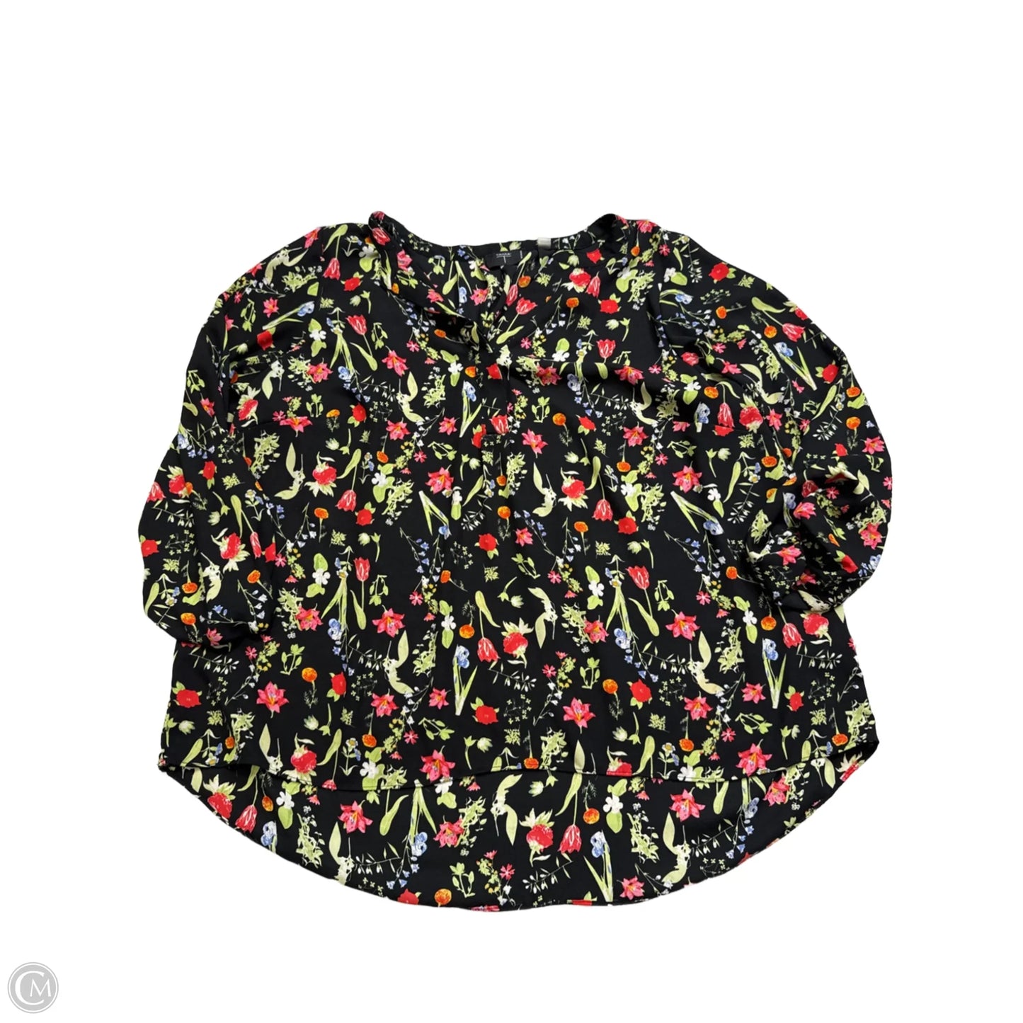 Top Long Sleeve By Tahari By Arthur Levine In Black, Size: 1x
