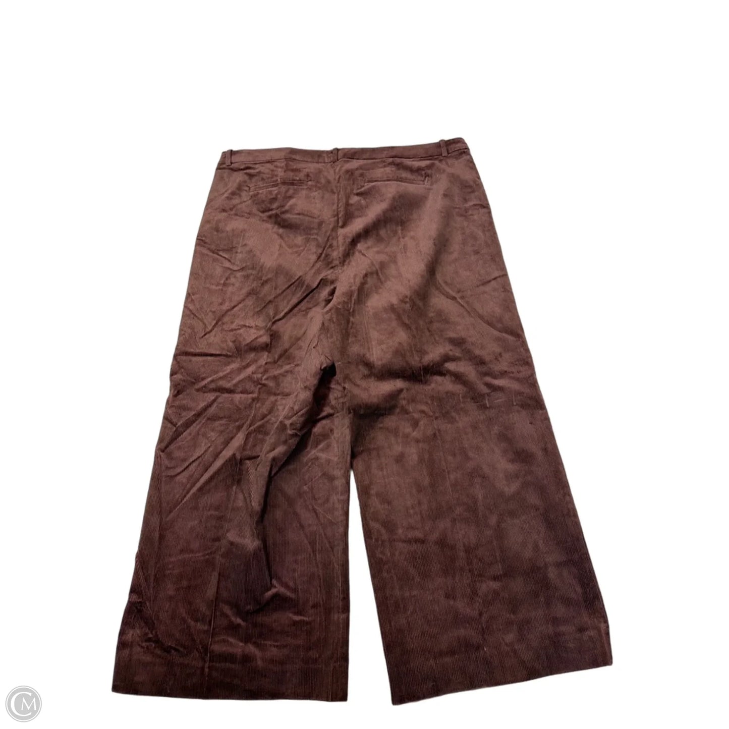 New! Pants Wide Leg By J. Crew In Brown, Size: 22