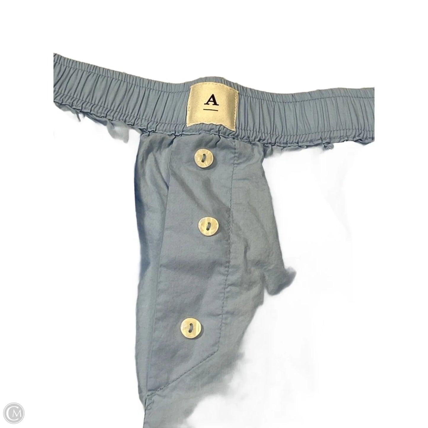 Shorts By Anthropologie In Blue, Size: L