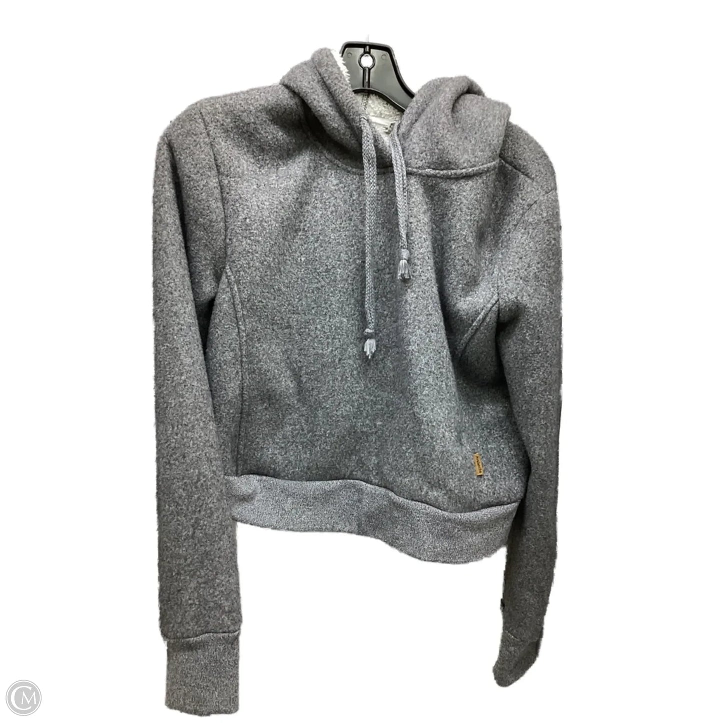 Sweatshirt Hoodie By Avalanche In Grey, Size: S