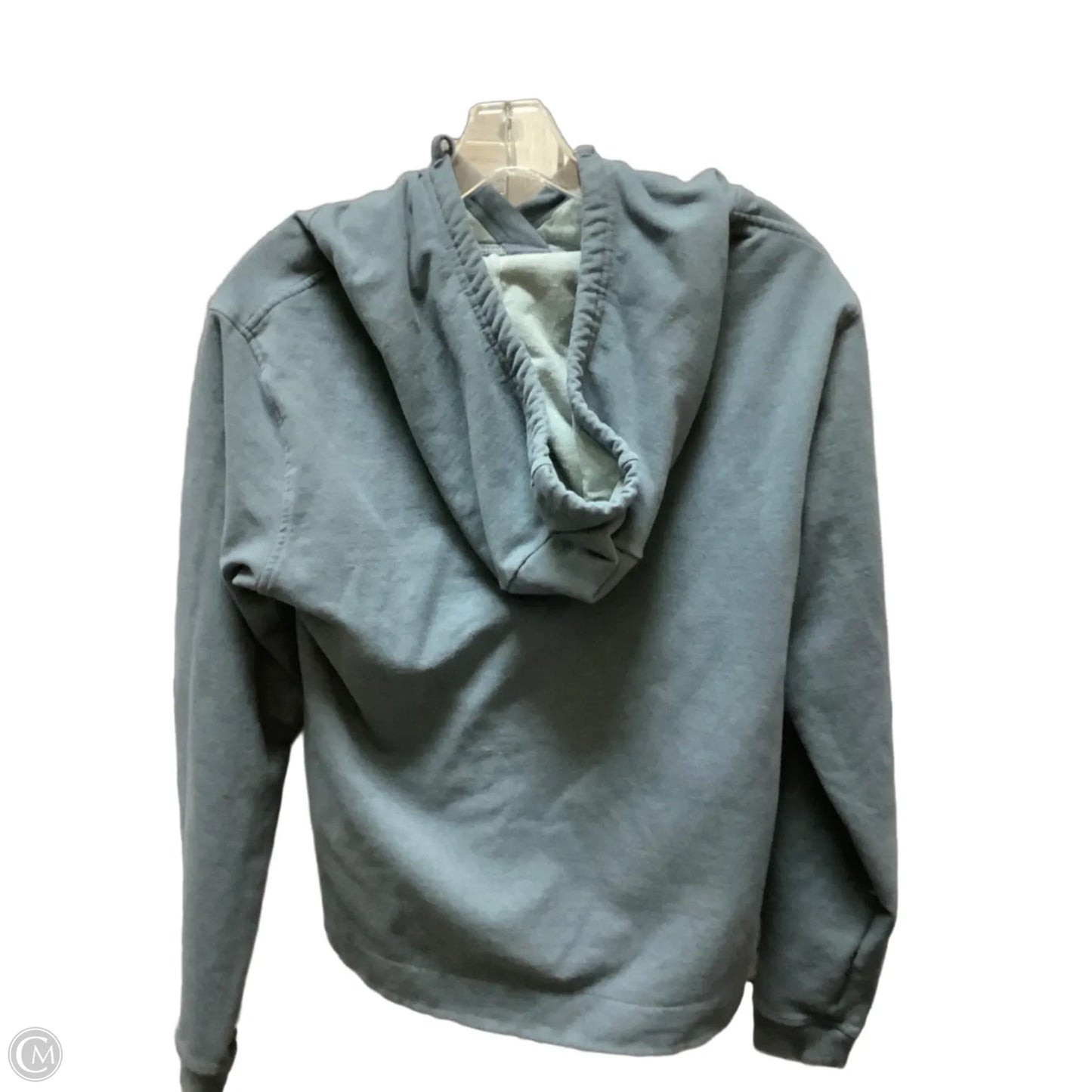 Sweatshirt Hoodie By Patagonia In Teal, Size: M