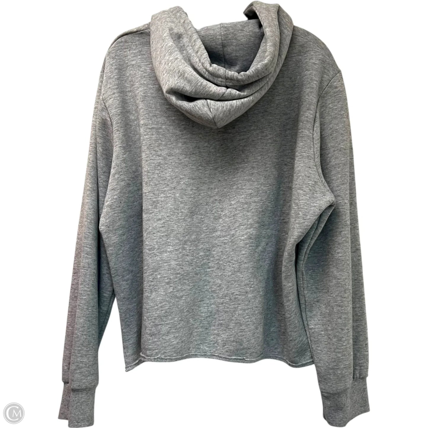 Sweatshirt Hoodie By Reflex In Grey, Size: 3x