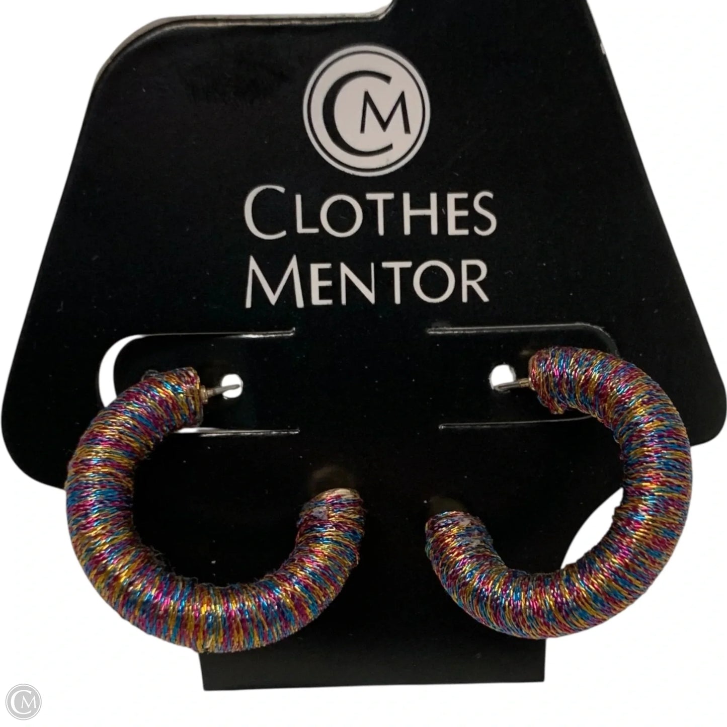 Earrings Hoop in Rainbow