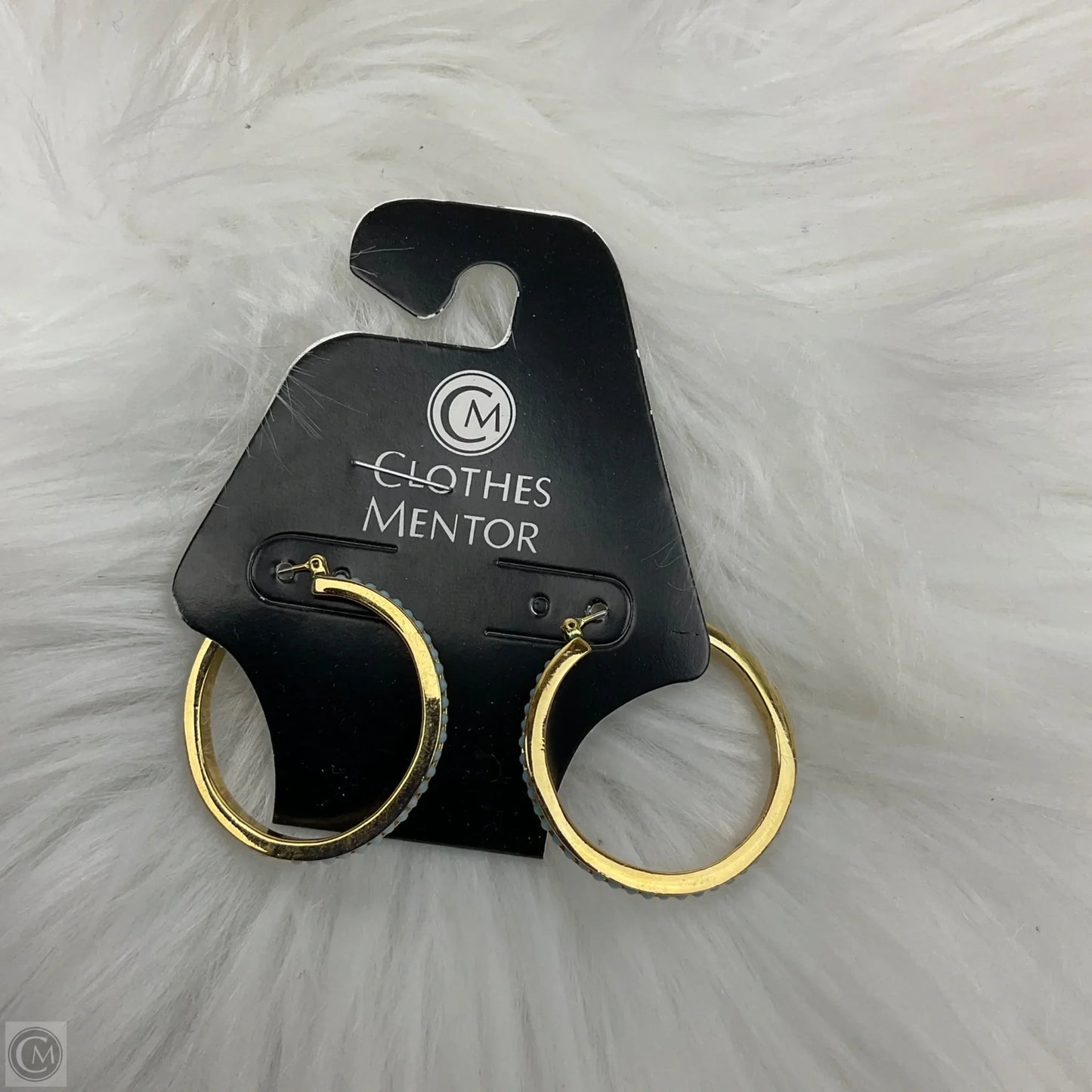 Earrings Dangle/drop By Clothes Mentor