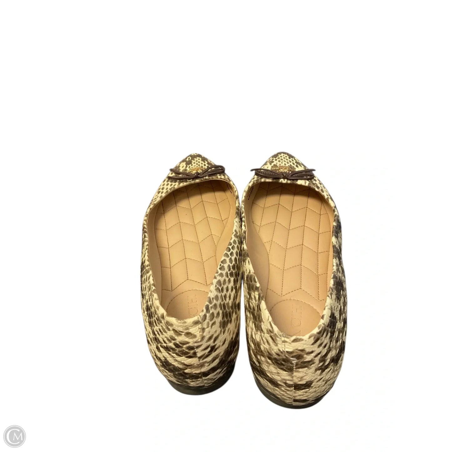 Shoes Designer By Coach In Animal Print, Size: 8.5