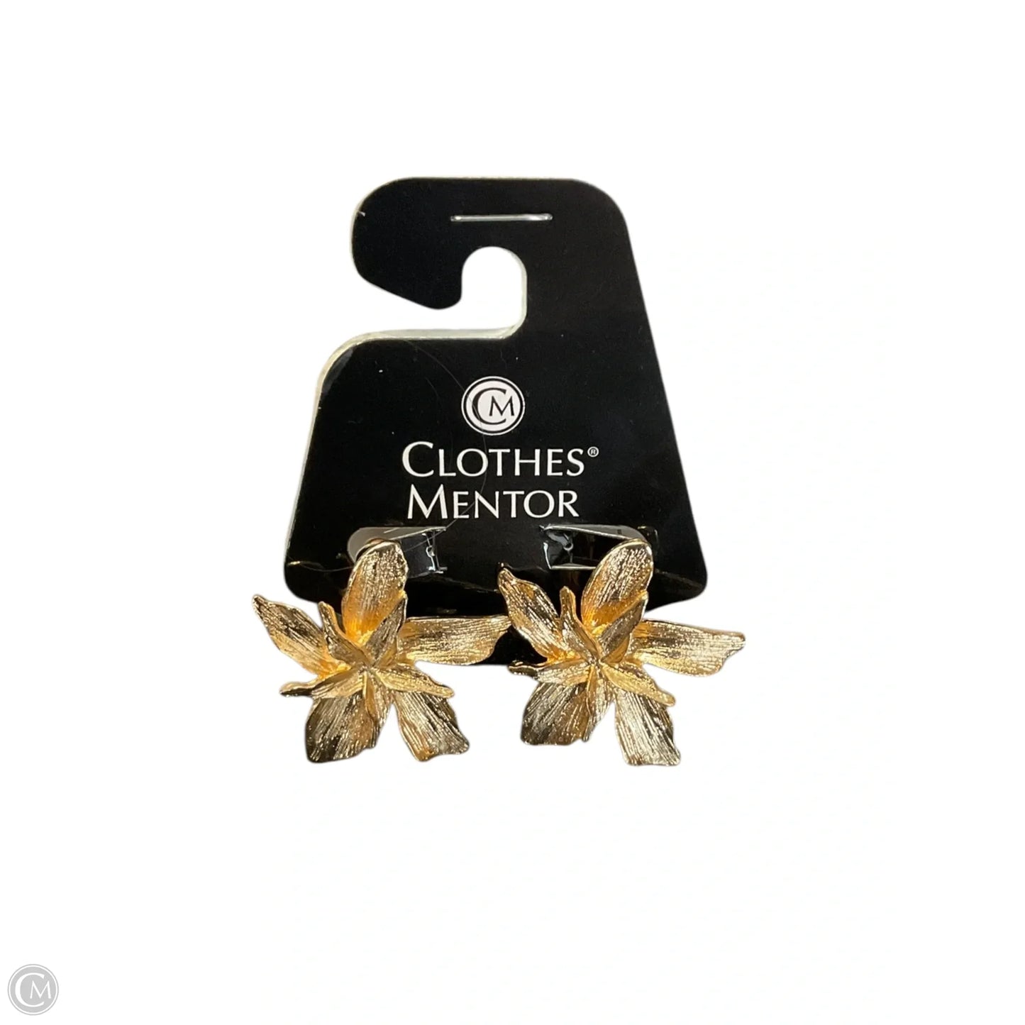 Earrings Statement By Clothes Mentor