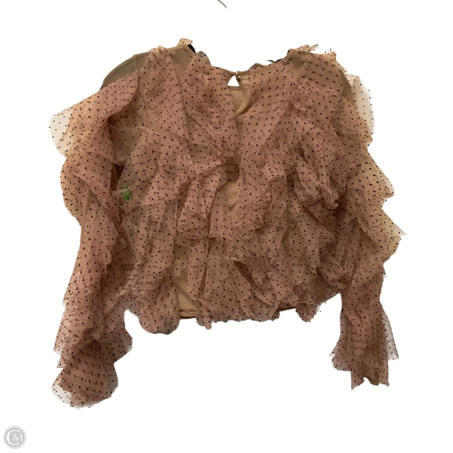 Top Long Sleeve By Dolan Left Coast In Brown, Size: Xxs