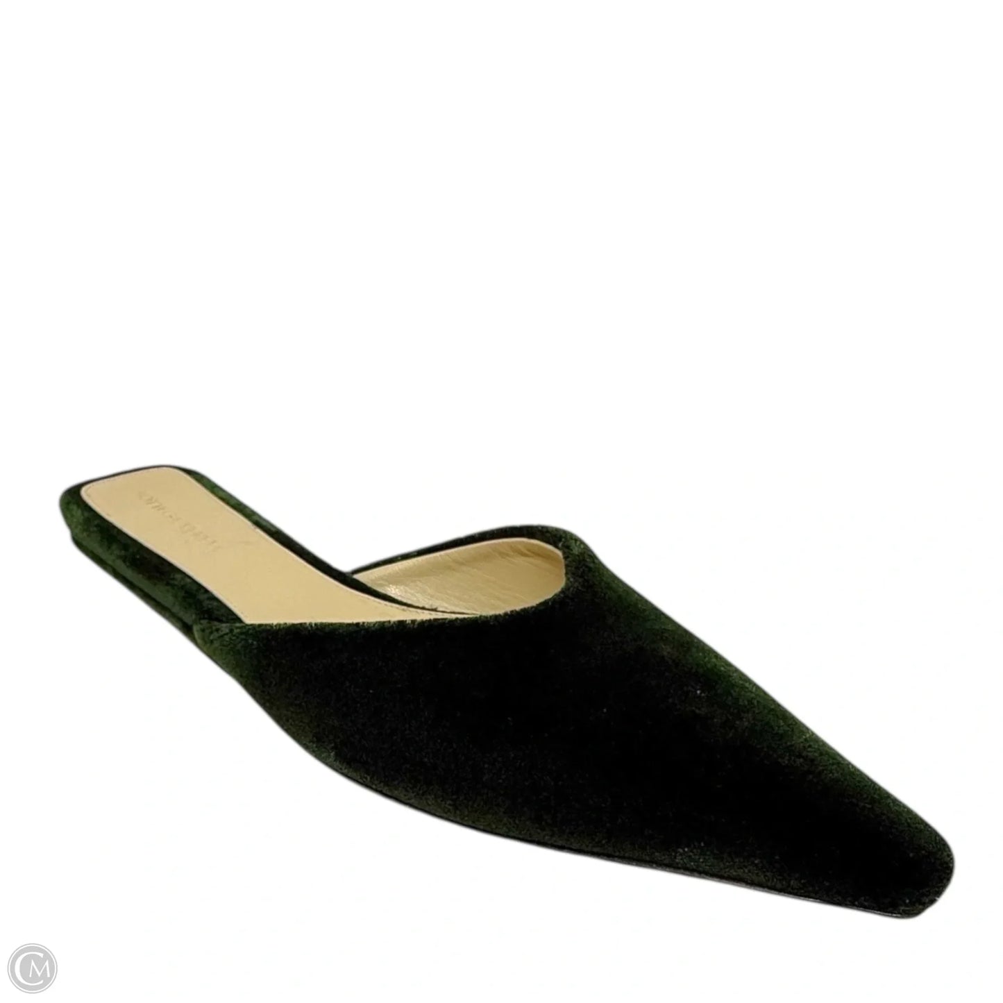Carpet Point-Toe Ballerina Slippers Luxury Designer By Bottega Veneta In Bottle Green, Size: US 9/IT 39