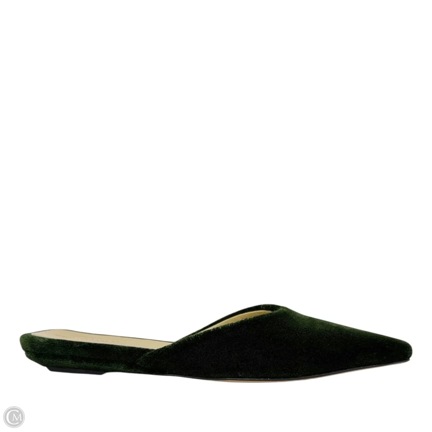 Carpet Point-Toe Ballerina Slippers Luxury Designer By Bottega Veneta In Bottle Green, Size: US 9/IT 39