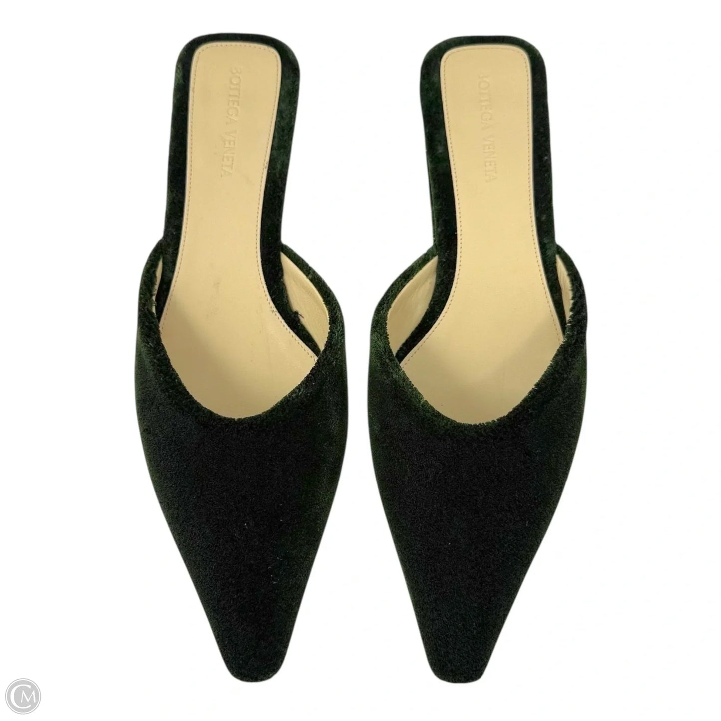 Carpet Point-Toe Ballerina Slippers Luxury Designer By Bottega Veneta In Bottle Green, Size: US 9/IT 39