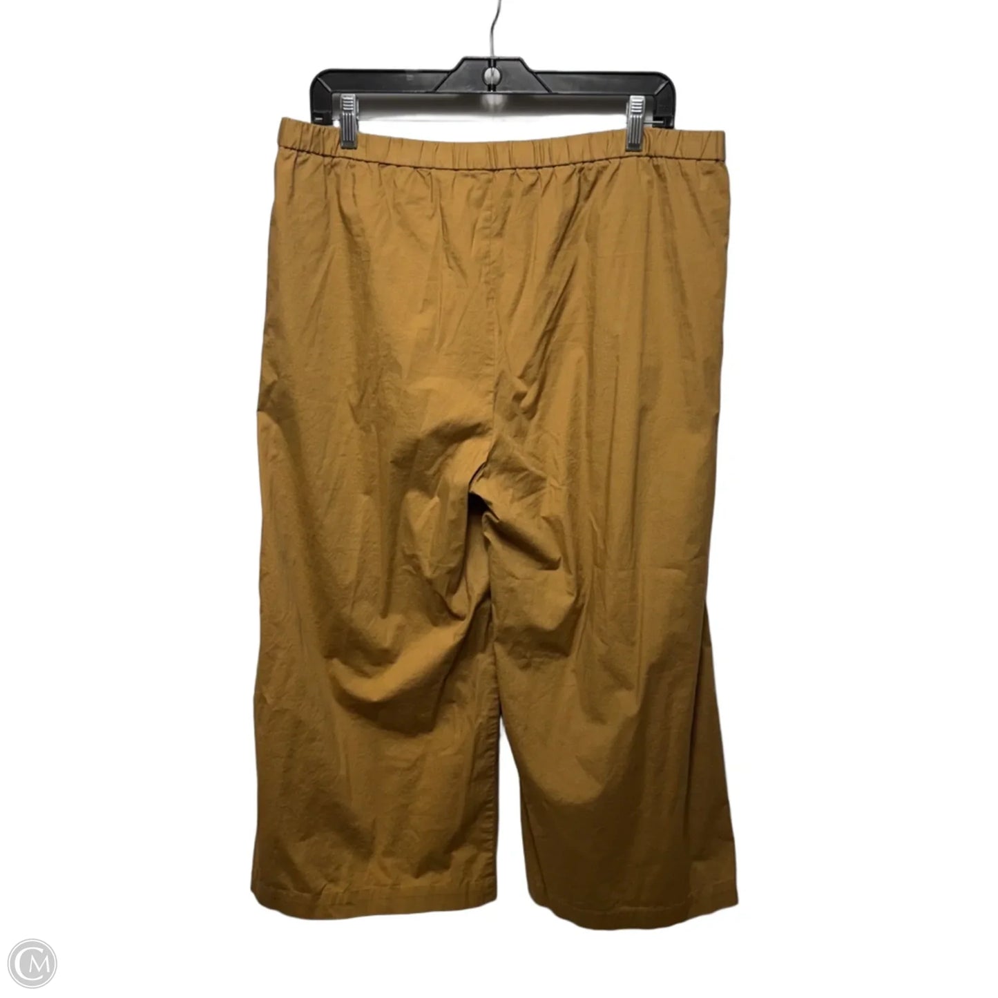 Pants Cropped By Eileen Fisher In Brown, Size: L
