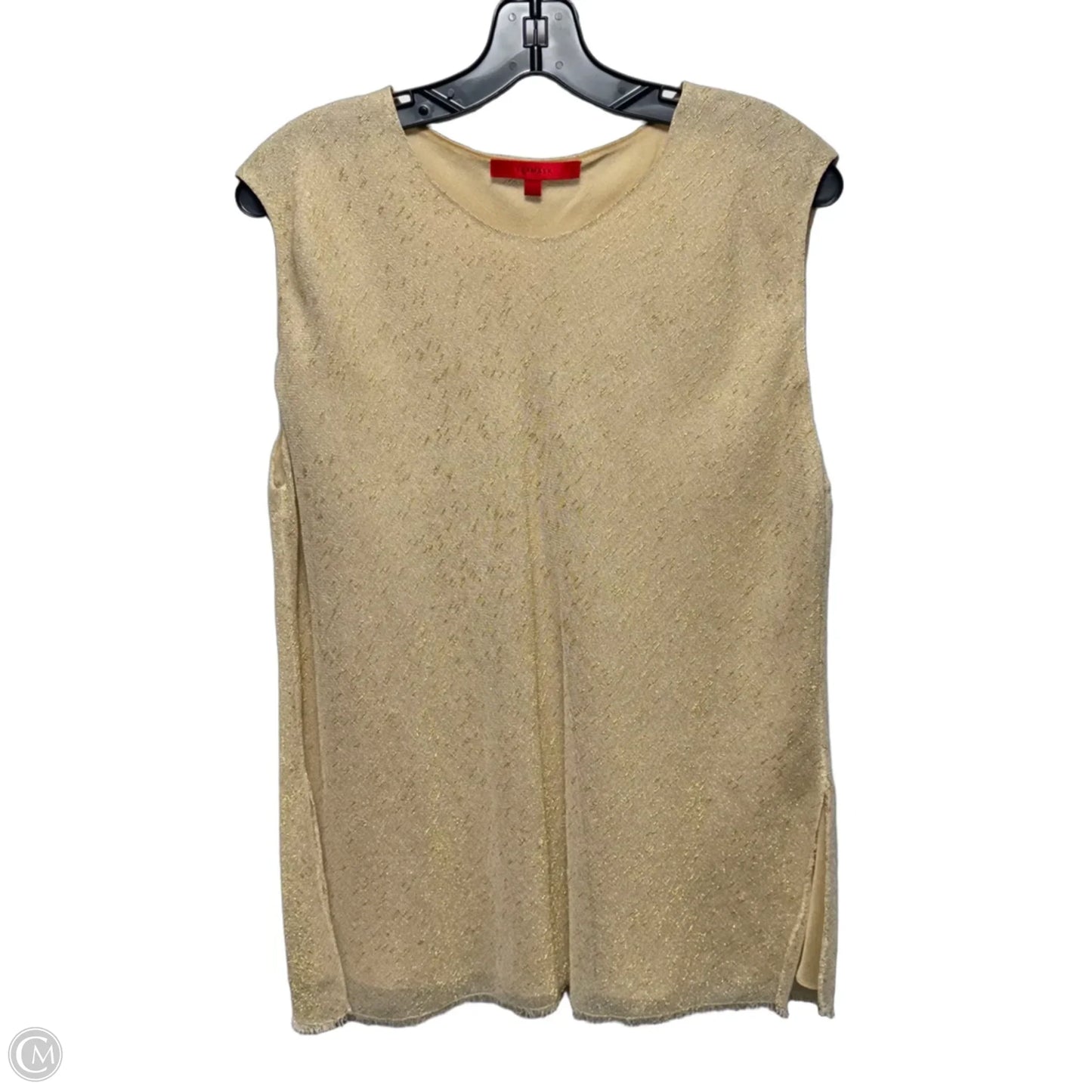 Top Sleeveless By Clothes Mentor In Gold, Size: 2