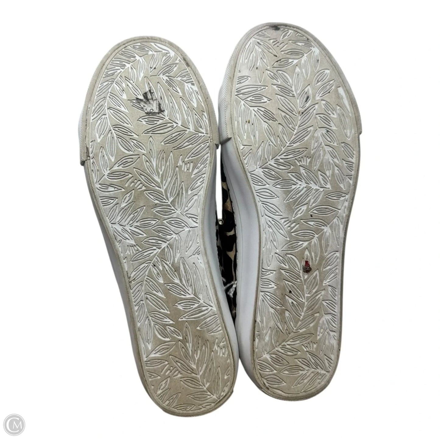 Leopard Trainers Shoes Designer By Lilly Pulitzer In Animal Print, Size: 7.5