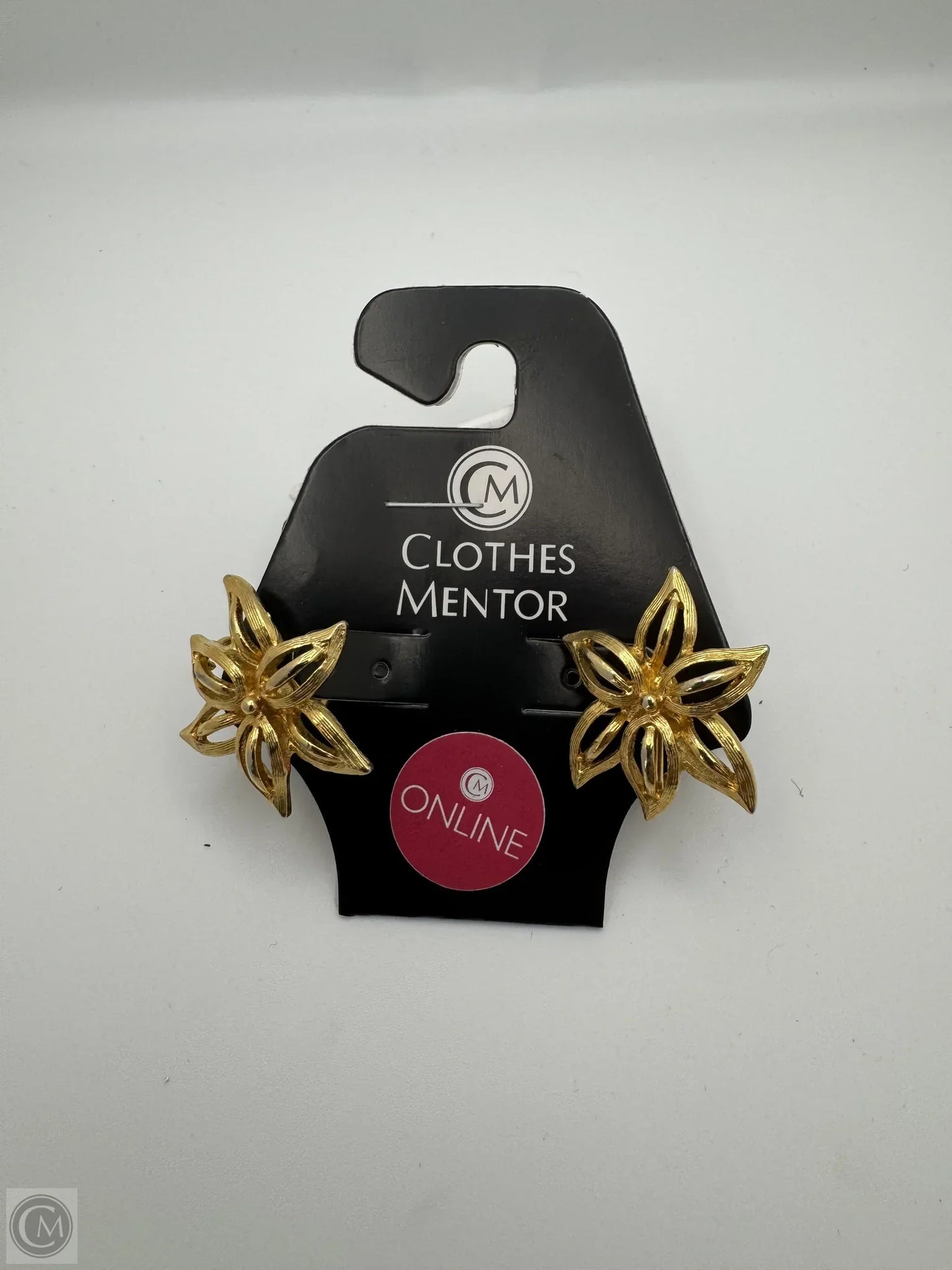 Earrings Clip By Clothes Mentor