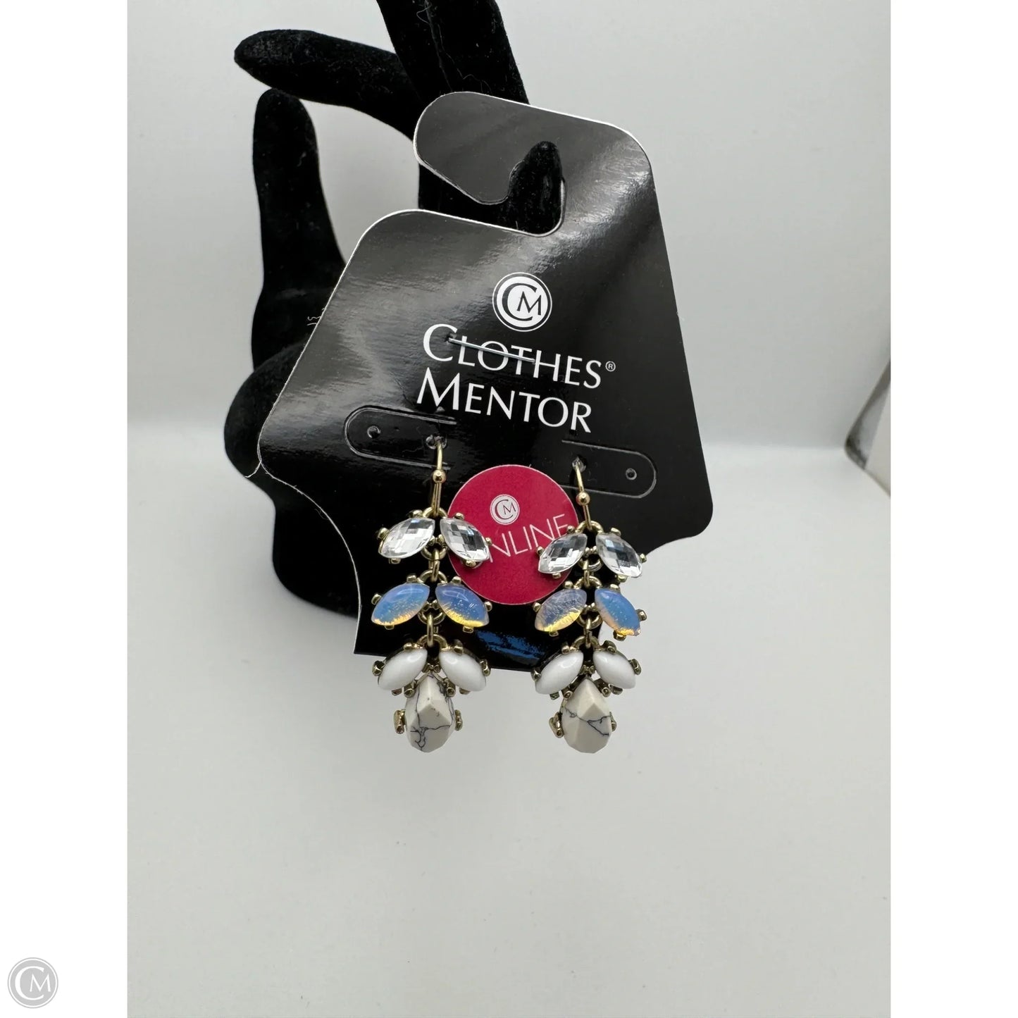 Earrings Dangle/drop By Clothes Mentor