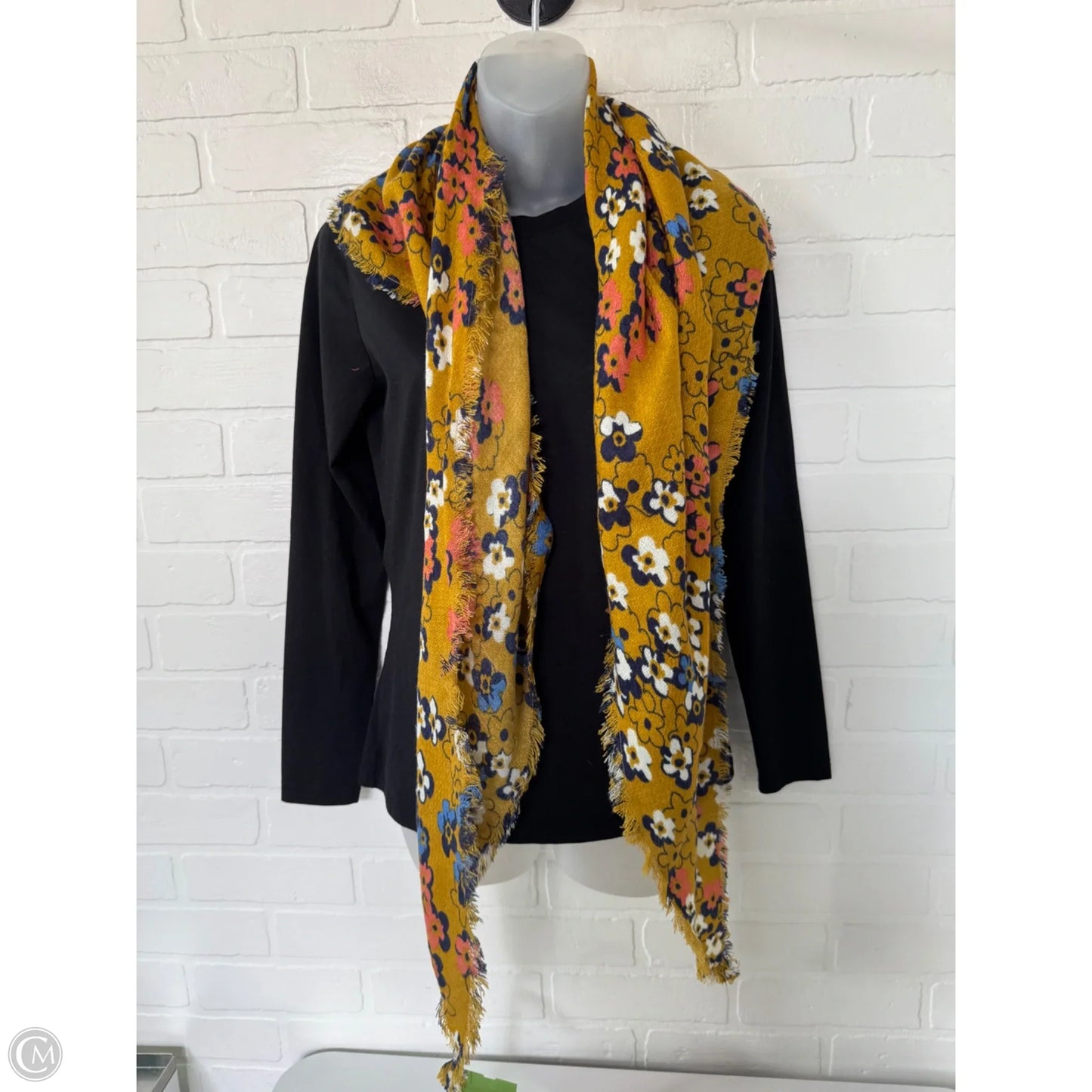 Scarf Long By Clothes Mentor
