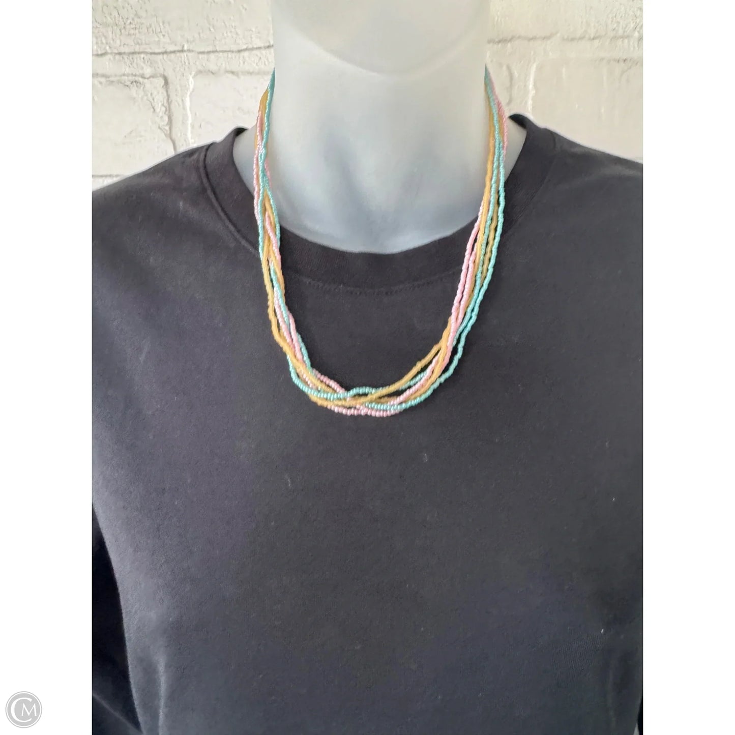 Necklace Layered By Clothes Mentor