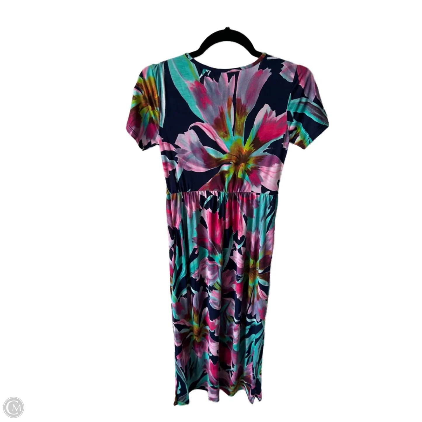 Dress Casual Maxi By Heimish Usa In Blue & Pink, Size: M