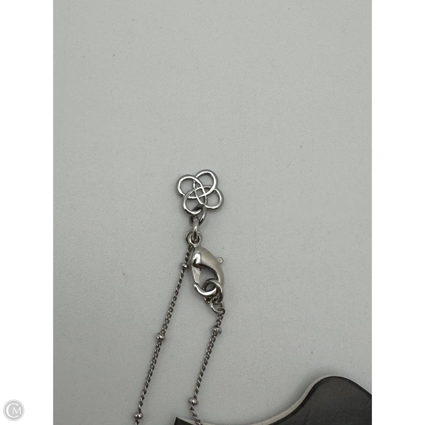 Necklace Chain By Stella And Dot