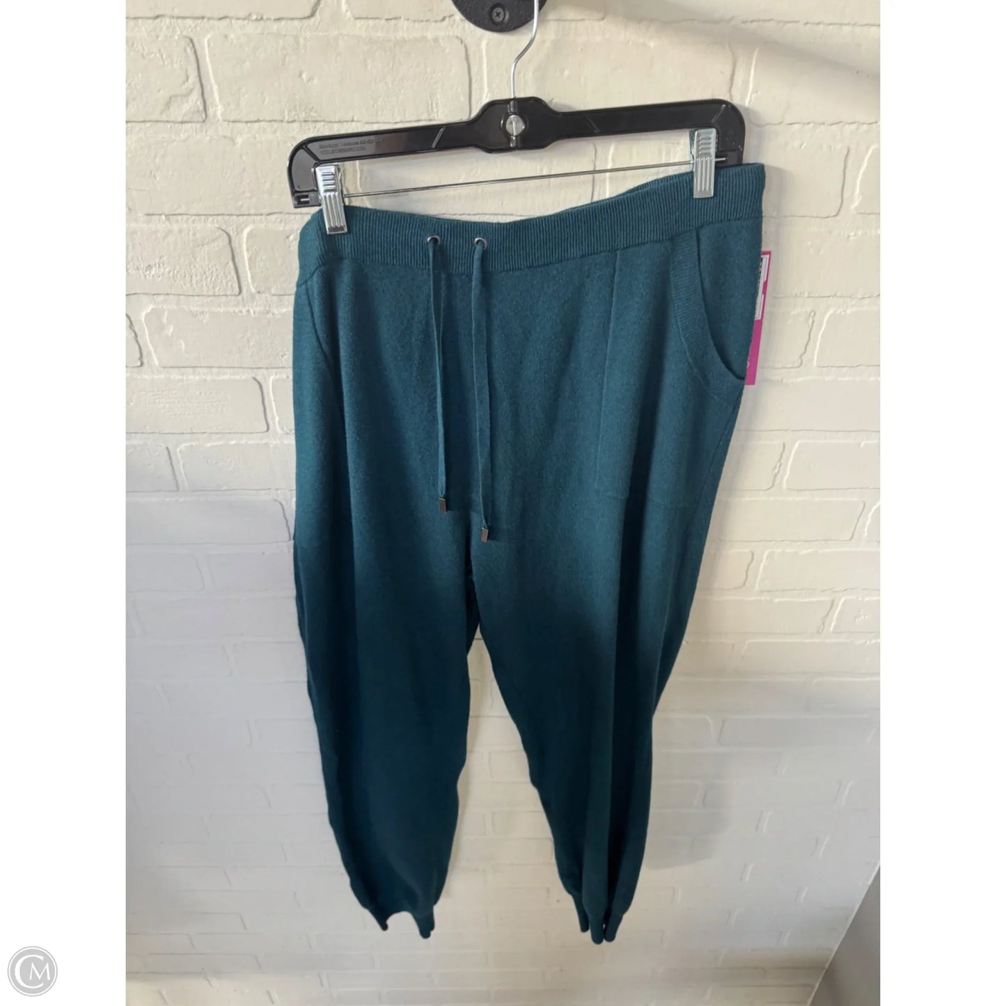 Pants Lounge By Chicos In Teal, Size: 16