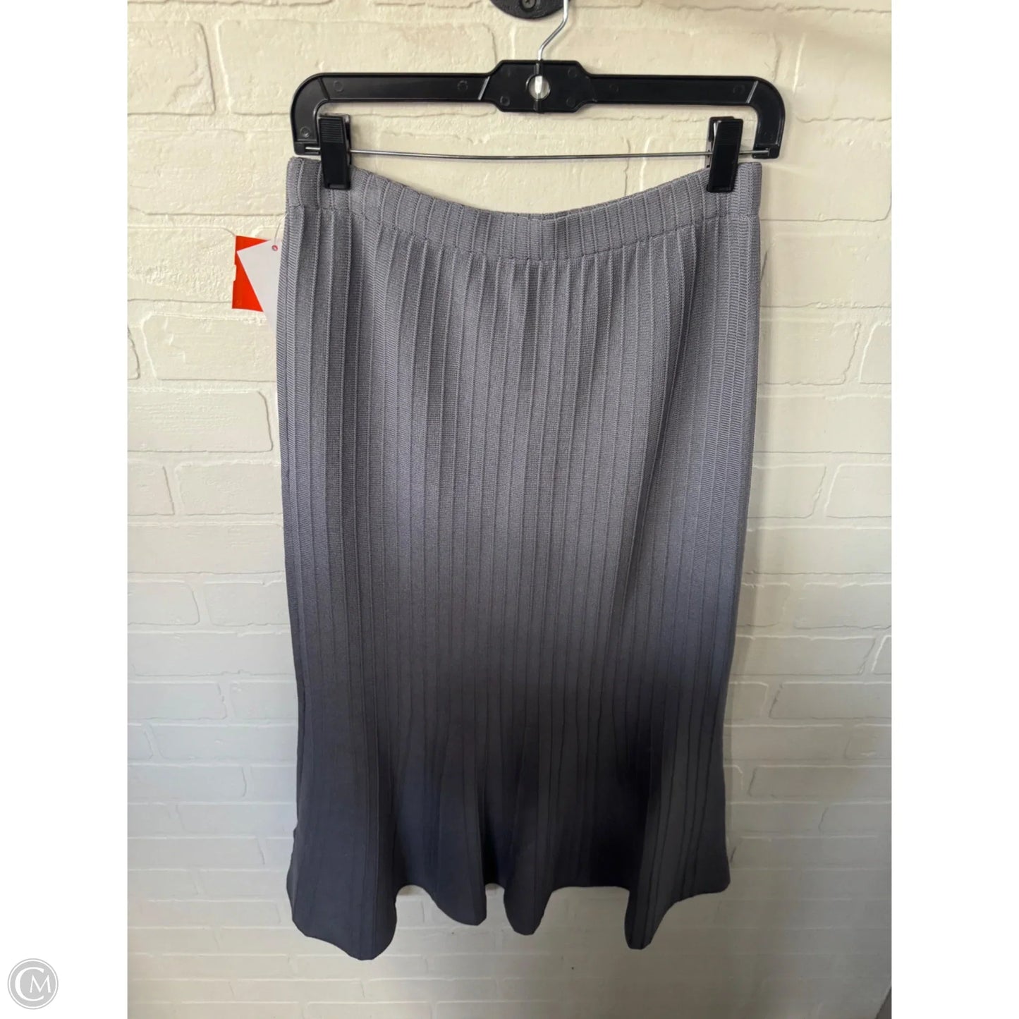 Skirt Maxi By Dazy In Grey, Size: 12
