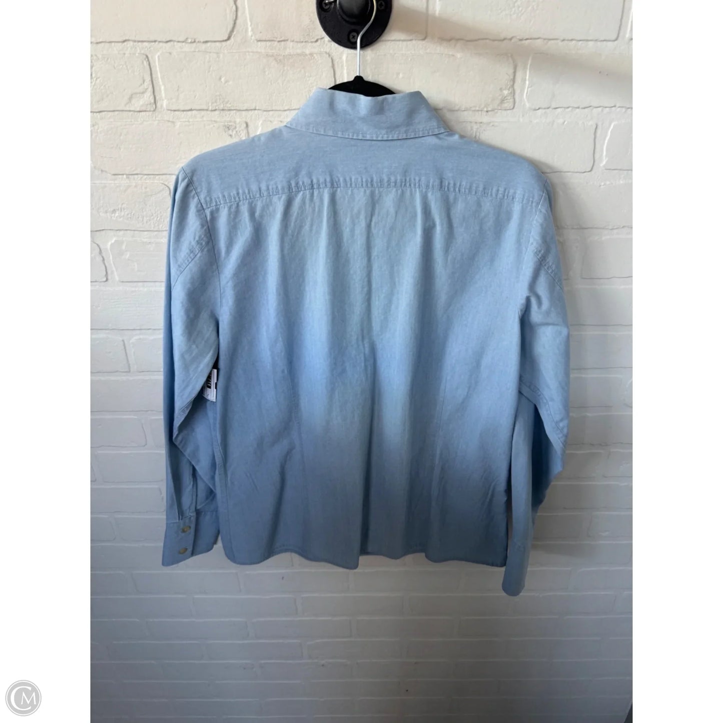 Blouse Long Sleeve By Eddie Bauer In Blue & Brown, Size: L