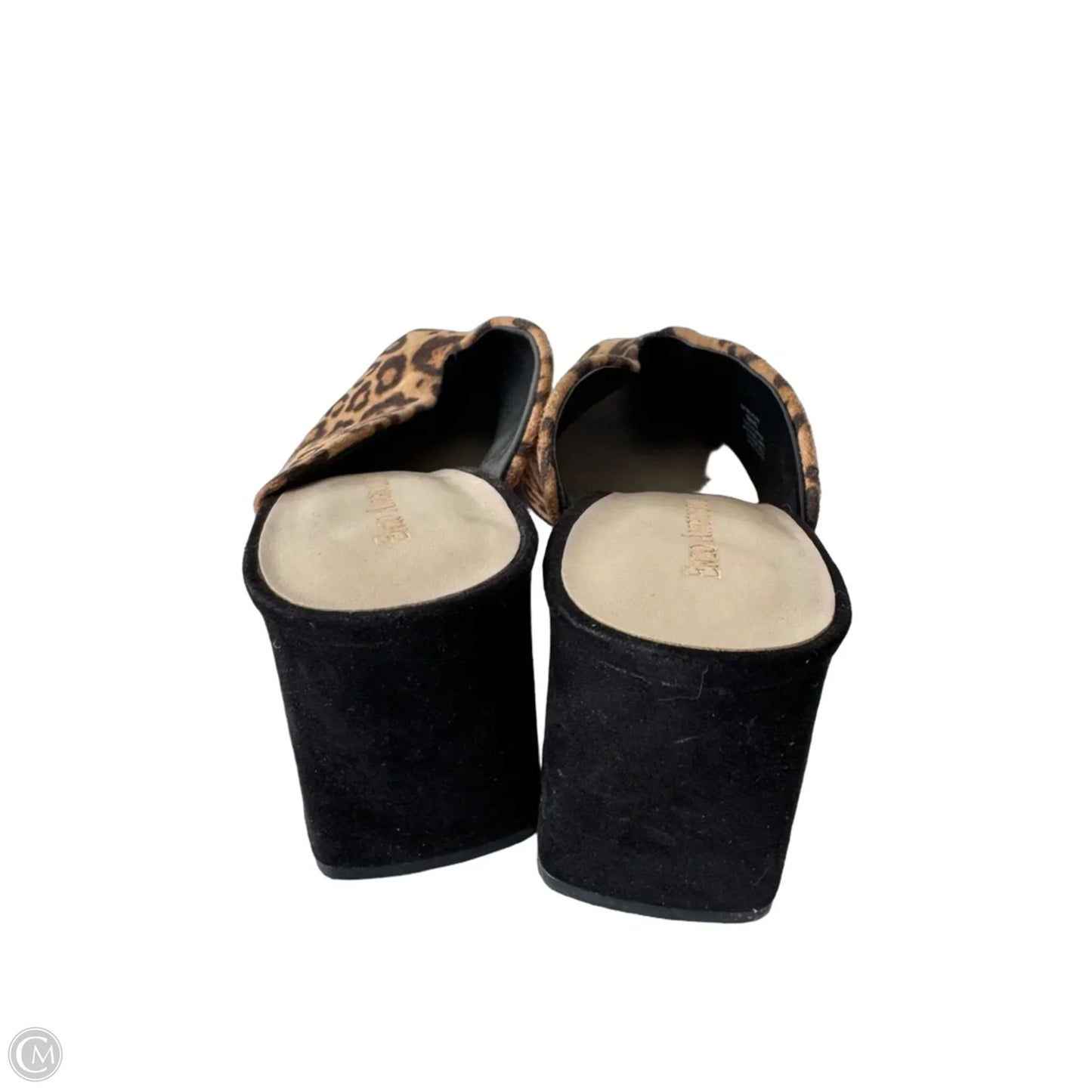 Shoes Heels Block By Enzo Angiolini In Animal Print, Size: 9