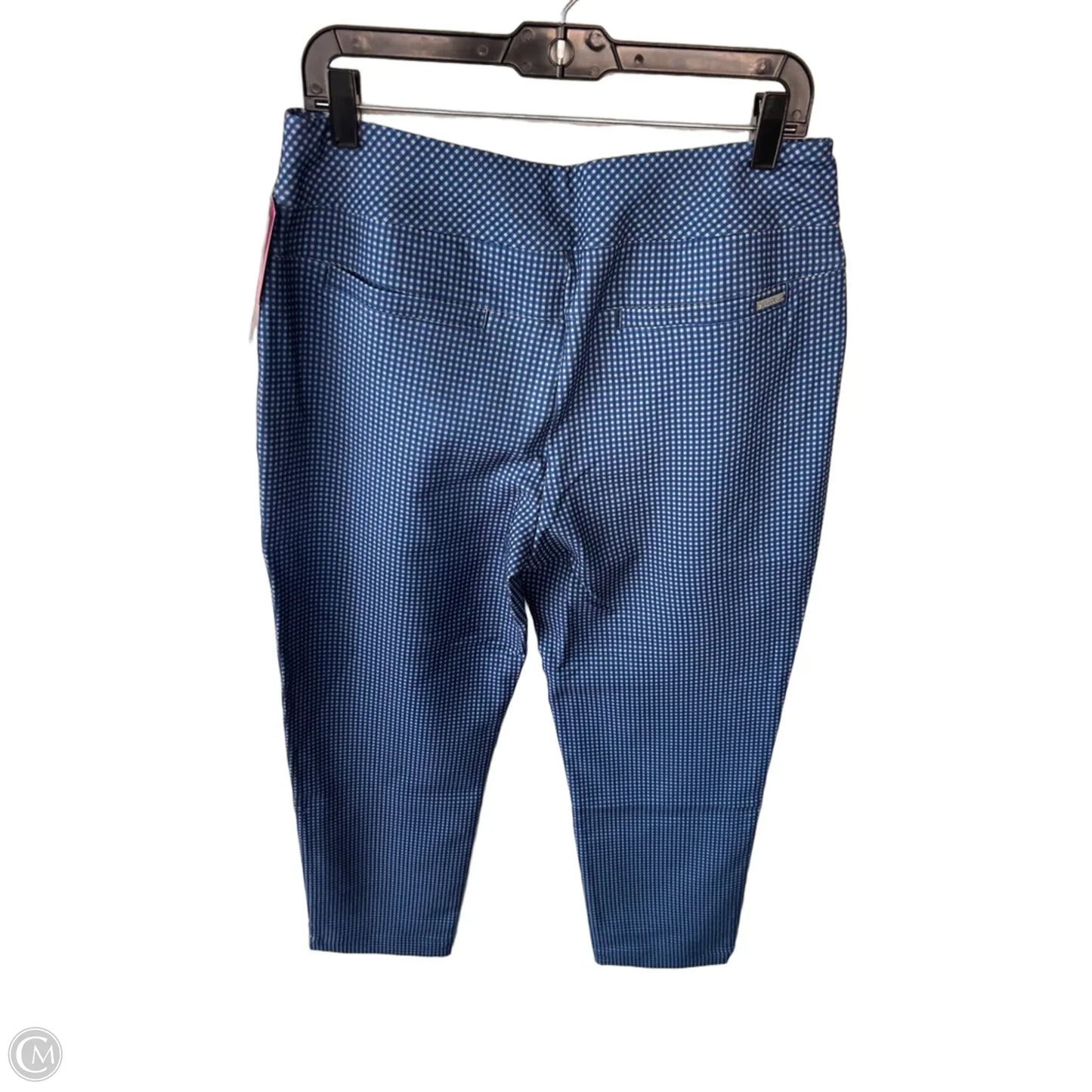 Athletic Pants By Clothes Mentor In Blue & Grey, Size: Xl