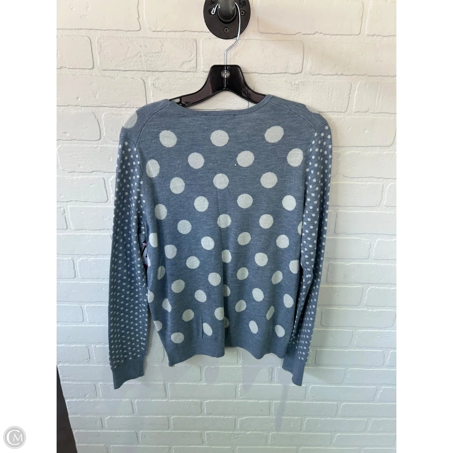 Sweater By Ann Taylor In Blue & White, Size: L