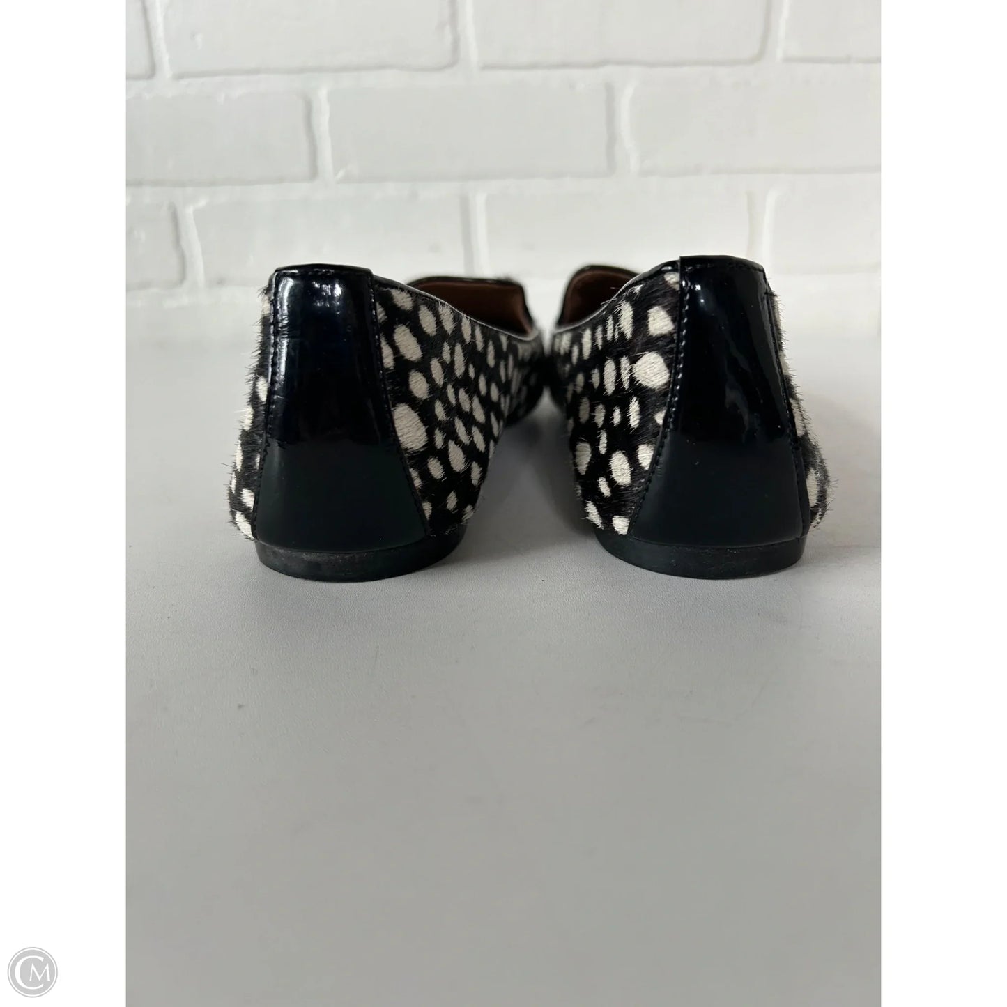 Shoes Flats By Franco Sarto In Black & Cream, Size: 8.5