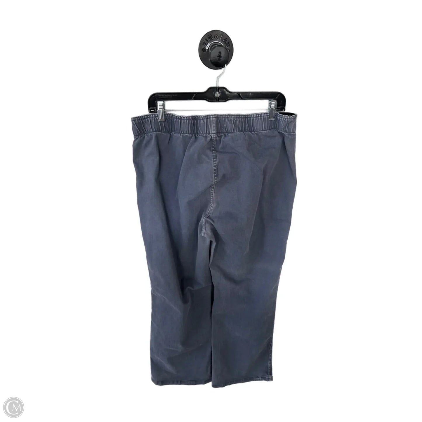 Pants Other By Soft Surroundings In Grey, Size: 16