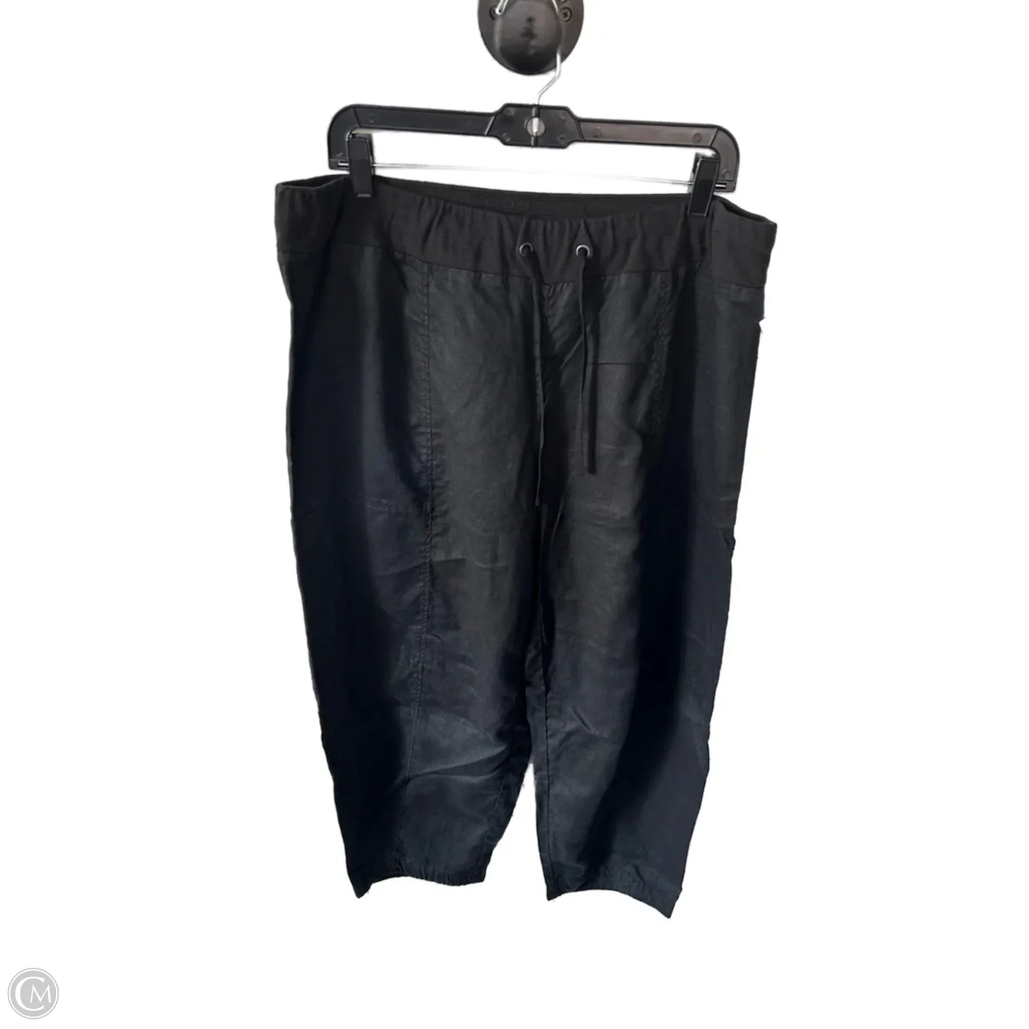 Pants Linen By Eileen Fisher In Black, Size: 12