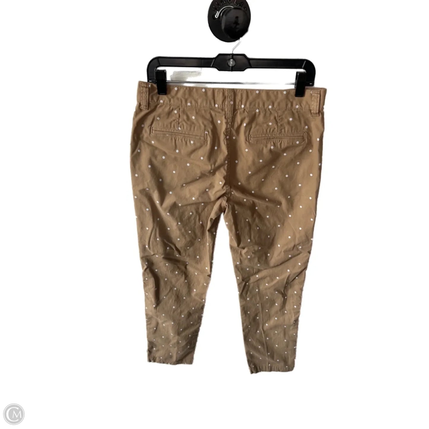 Pants Other By Current/elliott In Tan & White, Size: 6