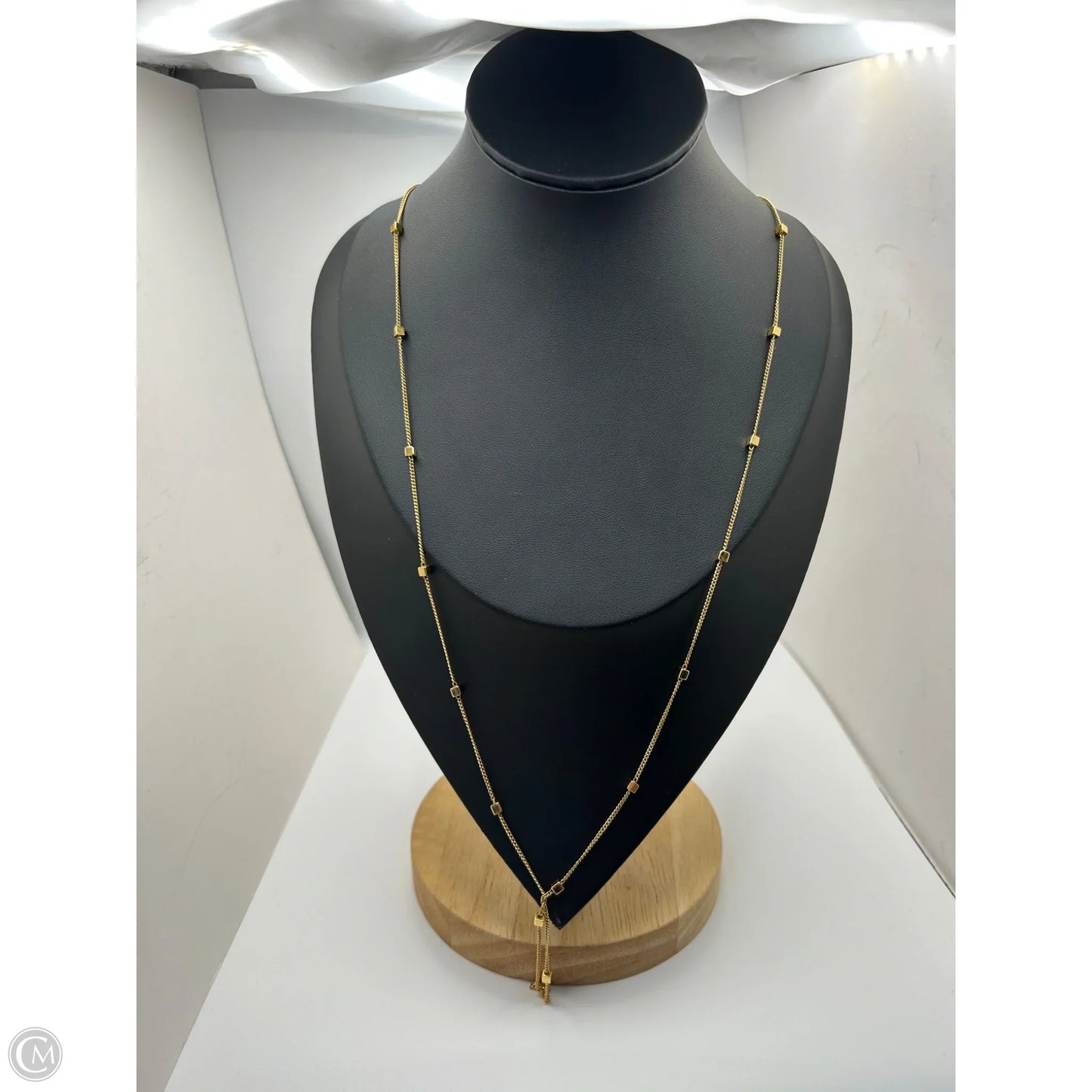 Necklace Chain By Clothes Mentor