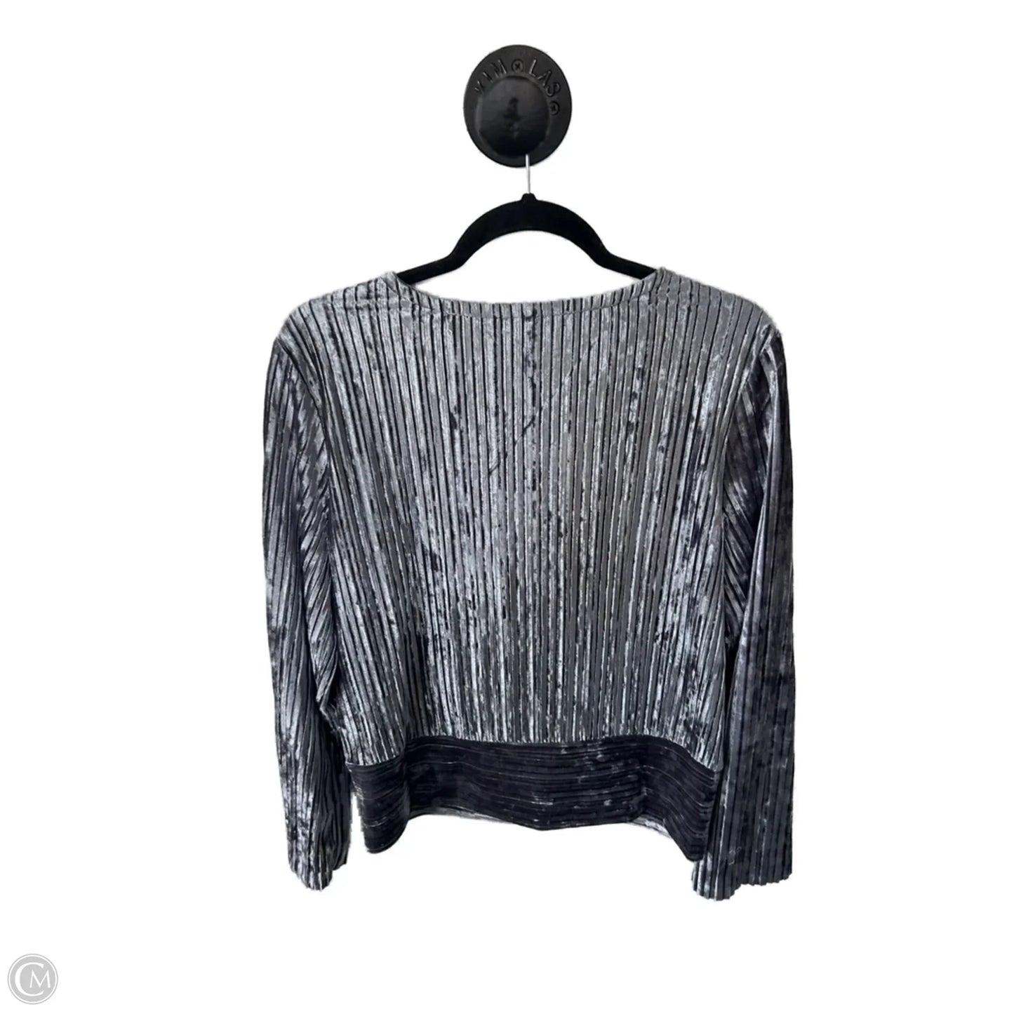 Top Long Sleeve By Tahari By Arthur Levine In Silver, Size: L