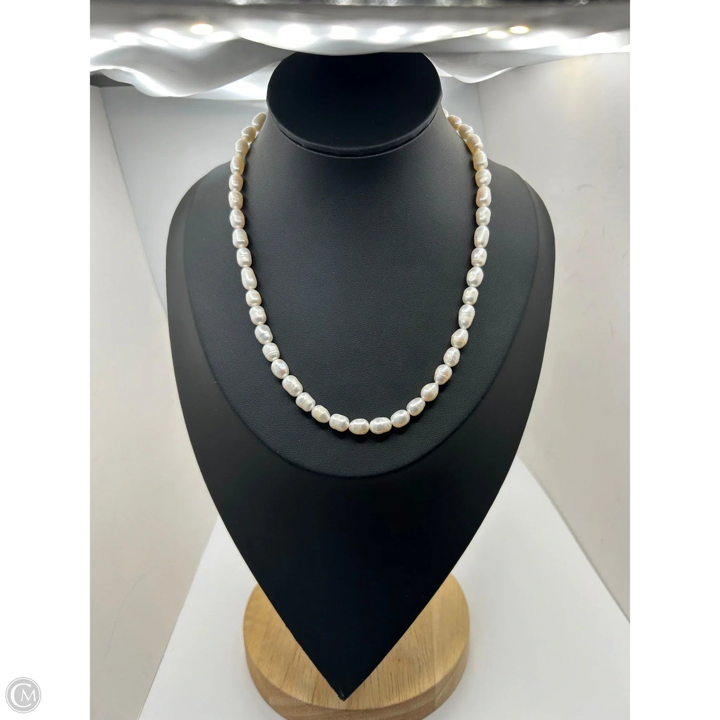 Necklace Chain By Ann Taylor