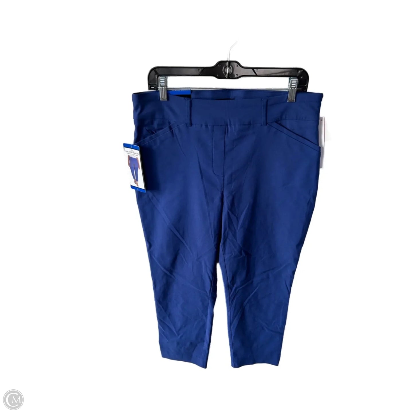 Pants Other By Hilary Radley In Blue, Size: 12