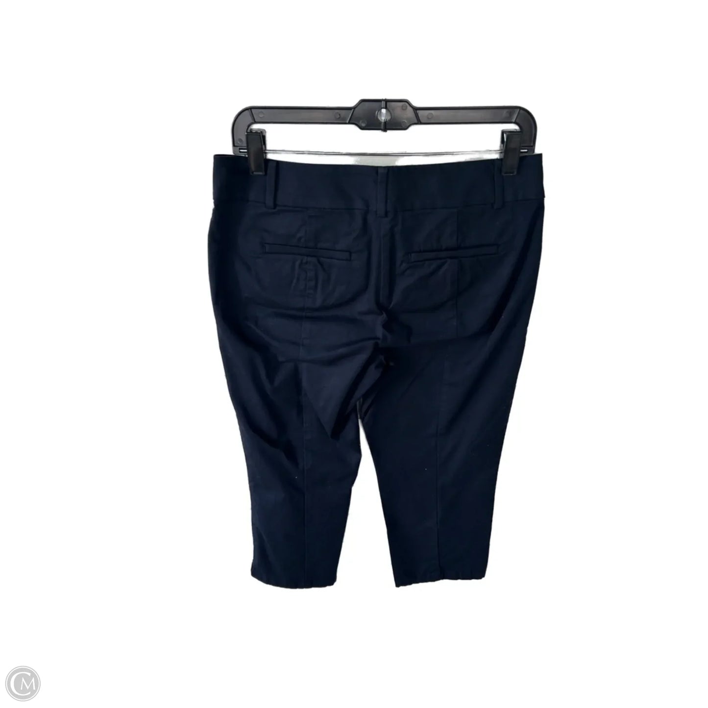 Pants Chinos & Khakis By Ann Taylor In Blue, Size: 4p